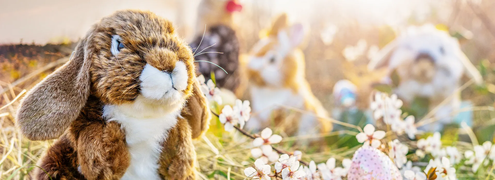 FOTOBONN_DSC01262-92t6r6ed2s62a0t