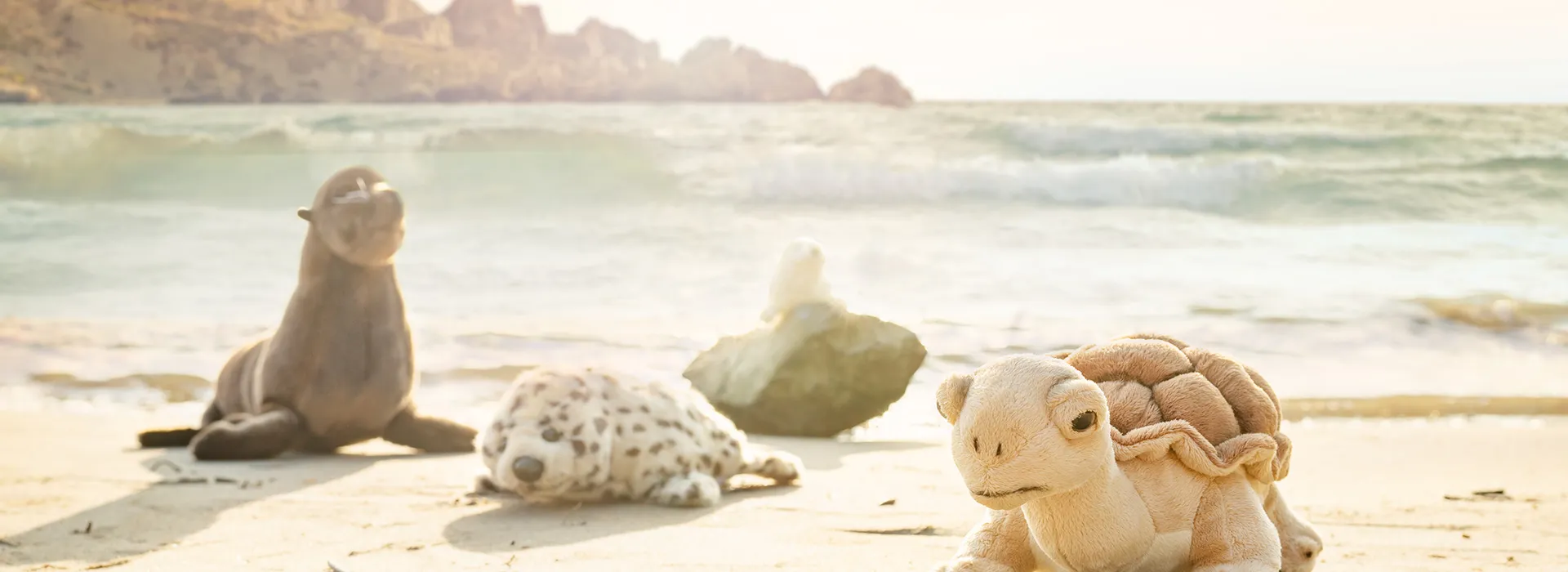 FOTOBONN_DSC07435-qs8ayw54264h5yc