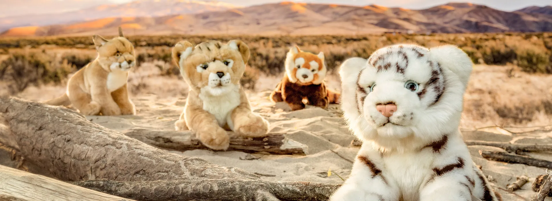 FOTOBONN_DSC07498-wjy05b8mrs4fp5h