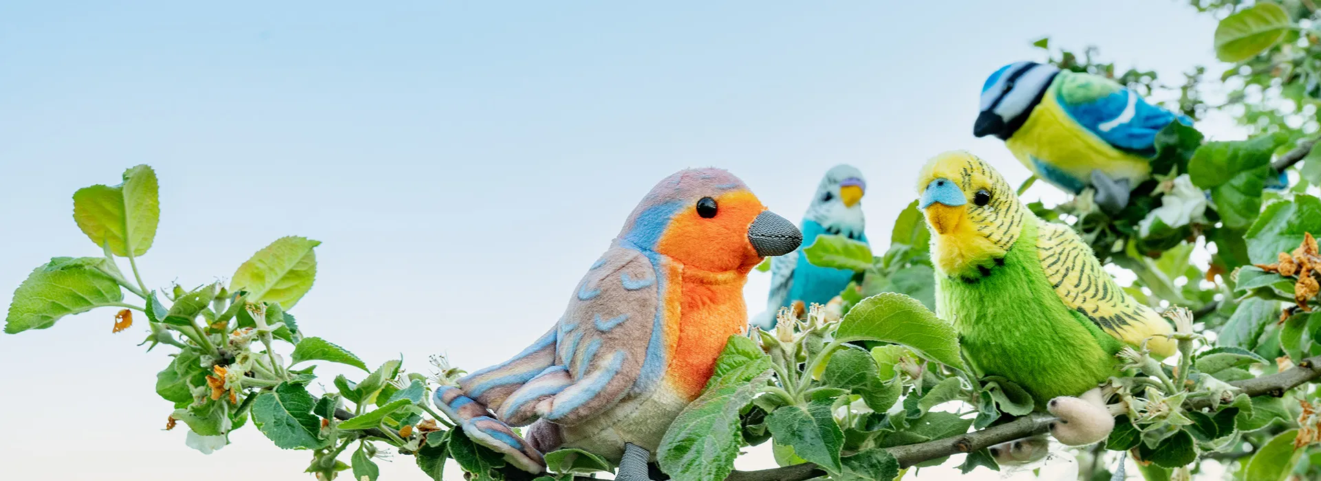 FOTOBONN_DSC07548-dw3m4vcvbh6z41f