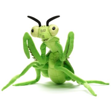 Gottesanbeterin - 34 cm (Länge)