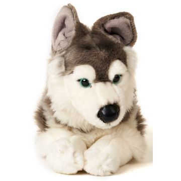 Husky grau, liegend - 43 cm (Länge) -- Plüsch-Hund