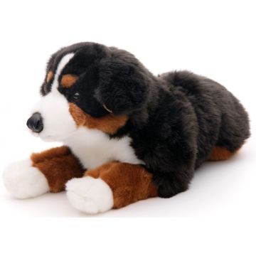 Berner Sennenhund, liegend - 46 cm (Länge)