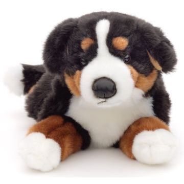 Bernese Mountain Dog, lying - 46 cm (length)