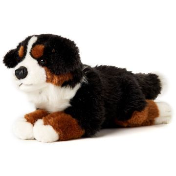 Bernese Mountain Dog, lying - 38 cm (length) -- Plush Dog