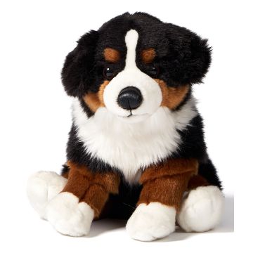 Berner Sennenhund, sitzend - 25 cm (Höhe)