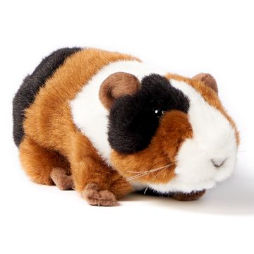Meerschweinchen - 18 cm (Länge)