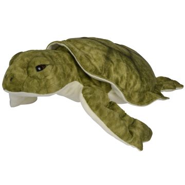 Grüne Meeresschildkröte - 55 cm (Länge)