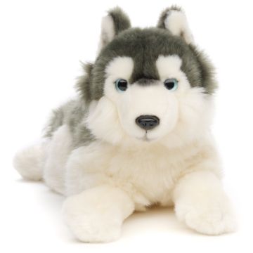 Husky grey, lying - 38 cm (length) -- Plush Dog