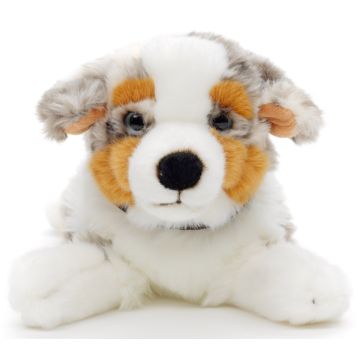 Australischer Schäferhund, liegend (mit Halsband) - 40 cm (Länge)