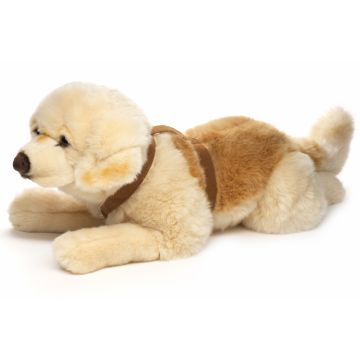 Golden Retriever, liegend (mit Geschirr) - 60 cm (Länge)