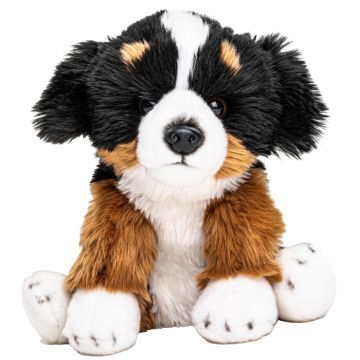 Bernese Mountain Dog Puppy - super soft - 25 cm (height)