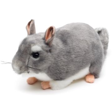 Chinchilla grau - 22 cm (Länge)