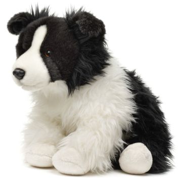 Border Collie, sitzend (ohne Leine) - 26 cm (Höhe)