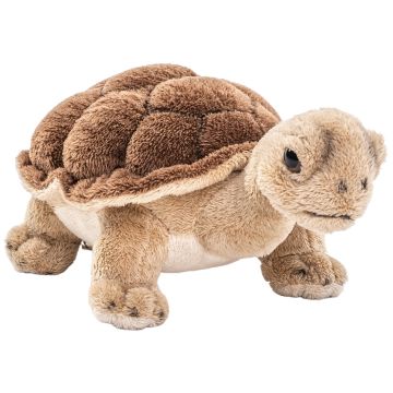 Landschildkröte - 28 cm (Länge)