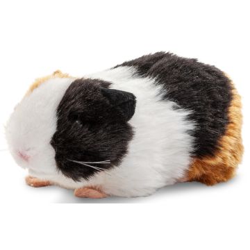 Meerschweinchen - 20 cm (Länge)