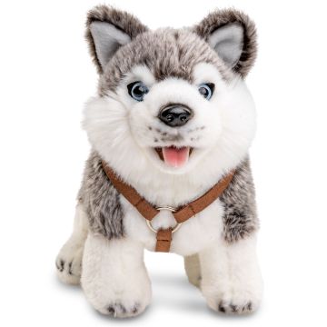 Husky Puppy gray, standing (with Harness) - 24 cm (length) -- Plush Dog