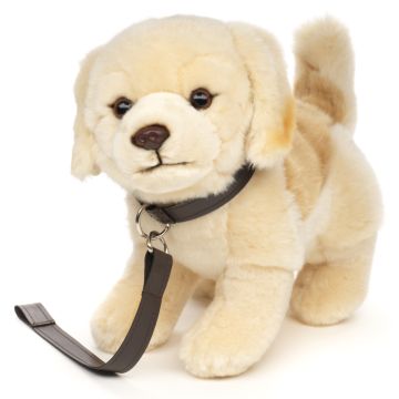 Golden Retriever Welpe, stehend - Mit Leine - 22 cm (Höhe)