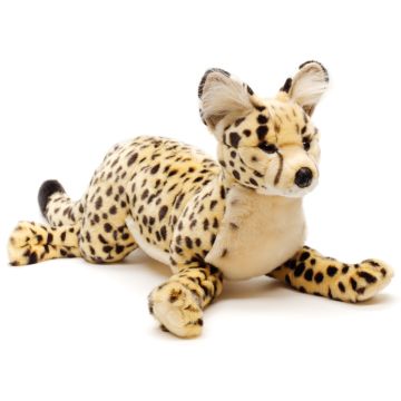 Savannah-Katze, liegend - 60 cm (Länge)