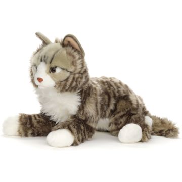 Norwegische Waldkatze - 46 cm (Länge)