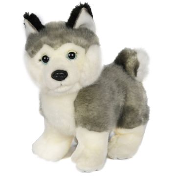 Husky Welpe grau, stehend (ohne Leine) - 21 cm (Länge)