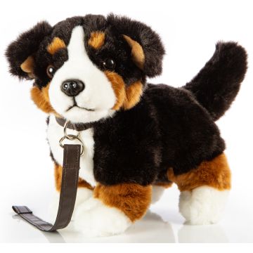 Berner Sennenhund, stehend (mit Leine) - 27 cm (Länge)