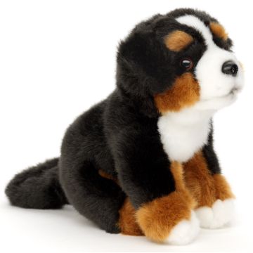 Berner Sennenhund Welpe, sitzend - 15 cm (Höhe)