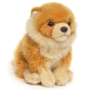 Zwergspitz, sitzend - 17 cm (Höhe) -- Plüsch-Hund, Spitz