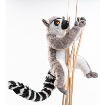 Katta-Lemur (mit Klettverschluss) - 21 cm (Höhe)