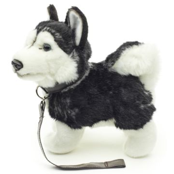 Husky Puppy, standing (black) - With Leash - 21 cm (length) -- Plush Dog