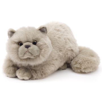 Perserkatze grau, liegend - 31 cm (Länge)