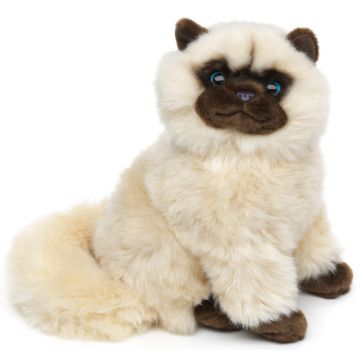 Perserkatze beige, sitzend - 25 cm (Höhe)