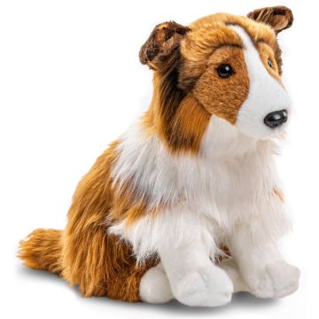 Langhaarcollie, sitzend (ohne Leine) - Gesicht weiß-braun - 27 cm (Höhe)