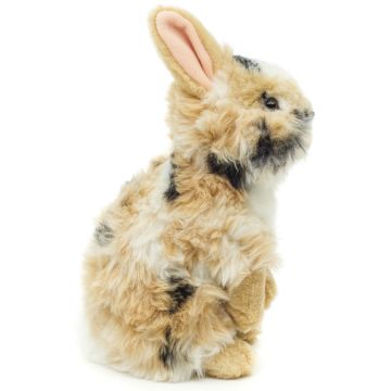 Löwenkopf-Kaninchen, stehend (schwarz-braun-weiß gescheckt) - Mit aufgestellten Ohren  - 23 cm (Höhe)