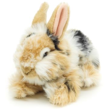 Löwenkopf-Kaninchen, liegend (schwarz-braun-weiß gescheckt) - Mit aufgestellten Ohren - 23 cm (Länge)