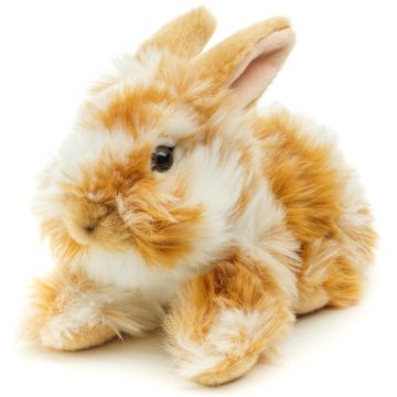 Lionhead Rabbit, lying (gold and white) - Erect Ears - 23 cm (length) -- Plush Bunny