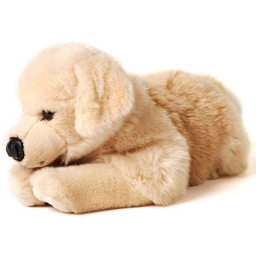 Golden Retriever, liegend - 43 cm (Länge) -- Plüsch-Hund