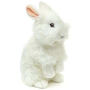 Löwenkopf-Kaninchen, stehend (weiß) - Mit aufgestellten Ohren  - 23 cm (Höhe)