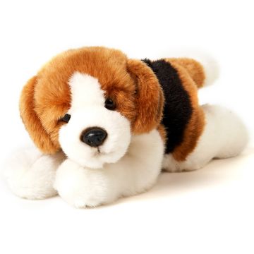 Beagle Welpe, liegend - 24 cm (Länge)