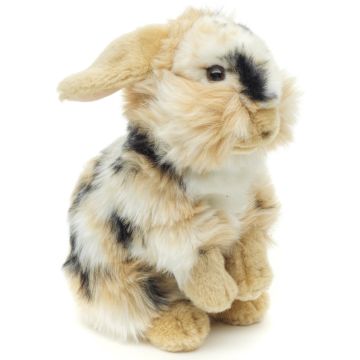 Löwenkopf-Kaninchen, stehend (schwarz-braun-weiß gescheckt) - Mit hängenden Ohren - 23 cm (Höhe)
