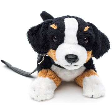 Berner Sennenhund Plushie (mit Leine) - 21 cm (Länge)