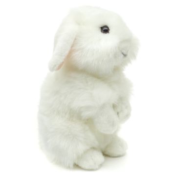 Löwenkopf-Kaninchen, stehend (weiß) - Mit hängenden Ohren - 23 cm (Höhe)