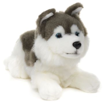 Husky grau, liegend - 31 cm (Länge)