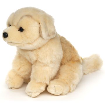 Golden Retriever Welpe, sitzend - Ohne Leine - 18 cm (Höhe)