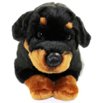 Rottweiler, lying - 39 cm