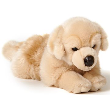Golden Retriever, liegend - 39 cm (Länge)