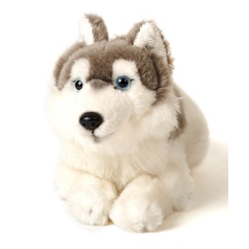 Husky, lying - 40 cm