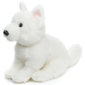 Weißer Schweizer Schäferhund Welpe - Ohne Leine - 26 cm (Höhe)