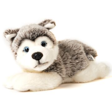 Husky Welpe grau, liegend - 23 cm (Länge)