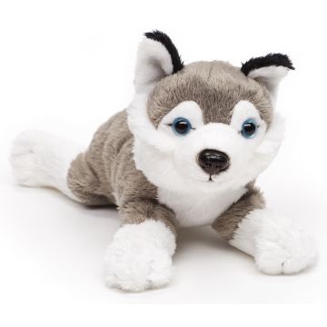 Husky Plushie (ohne Leine) - 22 cm (Länge)